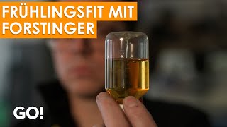 Das Auto fit für den Frühling machen mit Forstinger [upl. by Verlie]