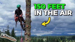 Removing A Tree 150 FEET In The AIR  GIANT 50” Fir Takedown [upl. by Vernice]