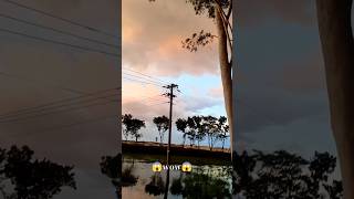 Wow Nature😱কি সুন্দর গ্রামের দৃশ্য😮 nature viralshorts viewpleasesubscribe [upl. by Anstice]