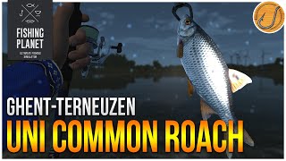 Unique Common Roach of GhentTerneuzen Canal  Fishing Planet Test Your Spot Series [upl. by Delwin663]