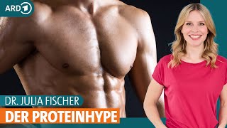 Protein Gesundes Eiweiß für Muskelaufbau und zum Abnehmen  Dr Julia Fischer  ARD Gesund [upl. by Ahseiyt972]