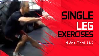 Muay Thai Strength Training  Single Leg Unilateral Exercise Progressions  Muay Thai SampC [upl. by Eninahs]