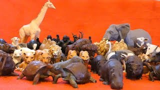 Wild Animals Toys Collection Britains Plastic Zoo [upl. by Naillig364]