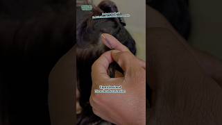 hairstyle hairtransformation hairextensionsindia hairextensions hairstyle hairtransformation [upl. by Ettedo]