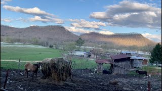 Rockhounding on the Green River  Kentucky Geode Hunting [upl. by Macdougall]