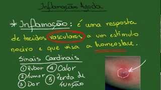 Inflamação Aguda  Resumo  Patologia Geral [upl. by Xela]