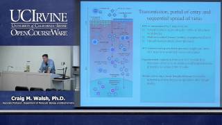 Biological Sciences M121 Immunology with Hematology Lecture 21 Failures of the Bodys Defenses [upl. by Reta371]