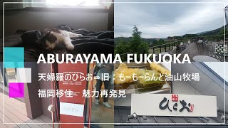 vlog【福岡移住】「天麩羅処ひらお」から複合体験型施設「ABURAYAMA FUKUOKA」（旧：油山牧場モーモーランド）曇り空のドライブ 福岡の魅力再発見！ [upl. by Hachmann753]