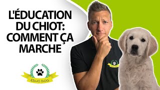 ✅ MES CONSEILS POUR ÉDUQUER UN CHIOT [upl. by Vod]