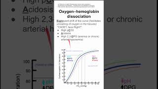 Oxygenhemoglobin dissociation [upl. by Klaus]