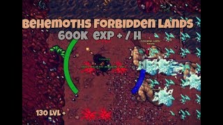 3 Tibia MSED 130lvl   Behemoths  Forbidden Lands  600k EXPH [upl. by Russell455]