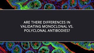 Are There Differences in Validating Monoclonal vs Polyclonal Antibodies [upl. by Araet]