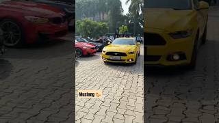 Ford MUSTANG 🐎 Cheapest Supercar😍🔥 ford fordmustang mustang supercars sportscar fastestcars [upl. by Ateiram688]