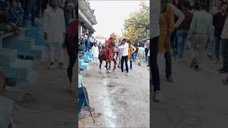 बुंदेली डांस क्या ऐसा भी है कमाल कर दिया इसने तो bundeli ghoda dans pawankbundeli Shorts वीडियो [upl. by Ahsenahs]