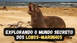 LOBOMARINHO  12 CURIOSIDADES INTERESSANTES SOBRE O LOBO MARINHO QUE VOCÊ PRECISA SABER [upl. by Shae]