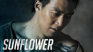 Sunflower 2006 Full Movie Sub Indo Facts amp Review  Sunflower 2006 Korean Movie Cast [upl. by Sproul]