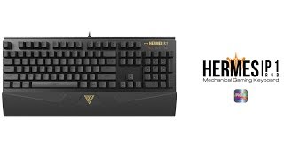 Gamdias Hermes P1 RGB Gaming Keyboard overview  Star Tech [upl. by Acker]