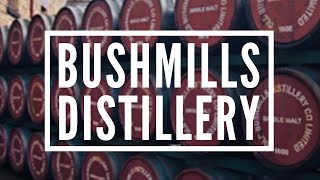 Bushmills Distillery The Oldest Irish Whiskey in Ireland  Whiskey amp Bushmills from 1608 whiskey [upl. by Atsahs]