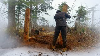 TIMELAPSE 120 Days of building a house in the woods under heavy snow in winter as a shelter [upl. by Reinhardt]