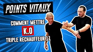 Comment faire un KO avec le point de pression quotTriple Réchauffeur 11quot Kyusho Jitsu  Self défense [upl. by Taffy]