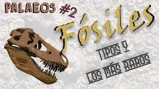 Palaeos programa 2 Tipos de fósiles  Paleodex  Dromornis [upl. by Stavros]