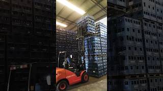 Best Forklift Operator 💯 shorts forkliftdriver forkliftoperator [upl. by Terrag]