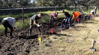 PLANTING 28000 saplings has started TELEVISION CREW is here too [upl. by Wavell]