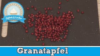 Granatapfel entkernen  schnell und einfach 🍎 [upl. by Monto]