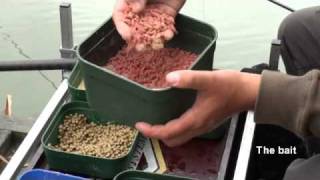 Fishing Tips on waggler for crucians and tench Bury Hill Fishery fishingtips [upl. by Yrrek]