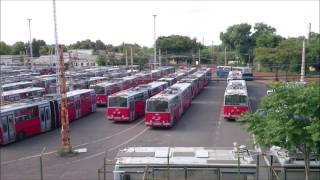 Ikarus 260280 in Budapest [upl. by Kinzer]