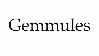 How to Pronounce Gemmules [upl. by Swinton765]