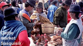 Cattle market Sasquisili [upl. by Swane]