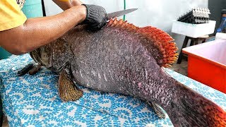 Thai Street Food  GOLIATH GROUPER FISH Cutting Skills Bangkok Seafood Thailand [upl. by Nemrak]