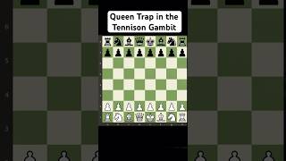 Queen trap in the Tennison Gambit chess chesstraps chesstricks chesstrapsforbeginners [upl. by Suk]