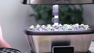 Why Start Seeds Early  AeroGarden Indoor Gardening Month [upl. by Niccolo]