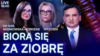 ZASKAKUJĄCE DONIESIENIA WS ZDROWIA ZIOBRY  Prokurator Wrzosek MieńkowskaNorkiene  NA ŻYWO [upl. by Christabelle]