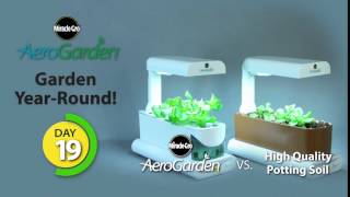 AeroGarden Sprout Time Lapse [upl. by Juakn]