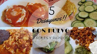 5 Desayunos o Almuerzos con Huevo  Desayunos Faciles y Rapidos  Erika Blop [upl. by Yauq]