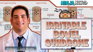 Irritable Bowel Syndrome IBS  Clinical Medicine [upl. by Sherlocke]