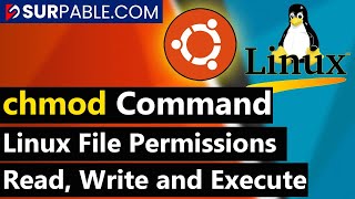 Linux File Permissions  chmod Command in Linux [upl. by Letsyrhc780]