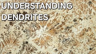 UNDERSTANDING DENDRITES MINERALOGY 🌴 [upl. by Enymsaj]