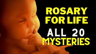 Rosary for Life  ProLife Rosary  All 20 Mysteries of Holy Rosary [upl. by Eiramyllek720]