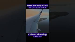 MSFS  PMDG 737 Arrival with NEW SOUNDS [upl. by Chrystel]