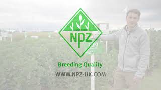 NPZ UK Bean Portfolio 2024 [upl. by Shelton189]