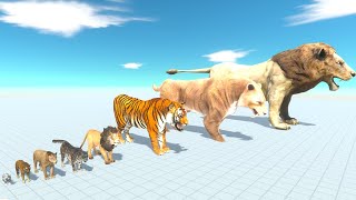 King Of The Jungle Of Evolution VS All Dinosaurs Race with Animals  Animal Revolt Battle Simulator [upl. by Cristoforo]