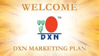 DXN Marketing Plan Hindi Version [upl. by Alimak]