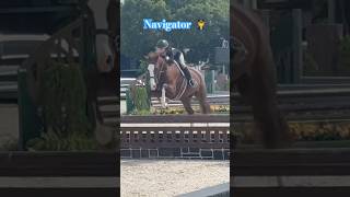 Navigator 3’ Children’s Hunter Debut equitation horse [upl. by Rimas334]