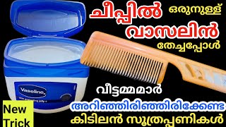 ഒരു തുള്ളി വാസലിൻ ചീപ്പിൽ തടവിയപ്പോൾ കിടിലൻ സൂത്രംവീട്ടമ്മമാർ മിസ്സ്‌ ആക്കല്ലേVaseline Tips [upl. by Acile907]