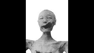 The Face of the Younger Lady Mummy KV35 Digital Photoshop Reconstruction [upl. by Crosby]