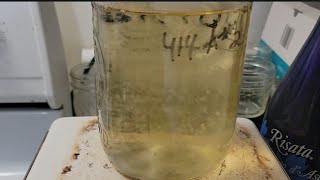 Useful Liquid Culture Recipe Mycology [upl. by Kalinda372]